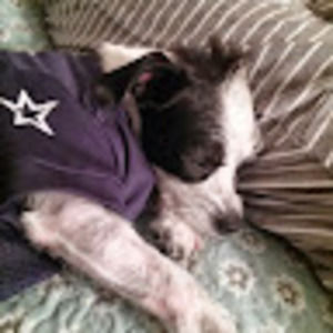 Meet your Posher, Florida